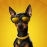 Matched profile picture