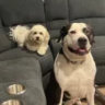 Matched profile picture