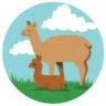 Matched profile picture