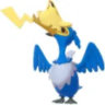 Matched profile picture