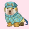 Selected profile picture