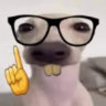 Matched profile picture