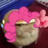 cupcakethewolf