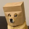 umgd