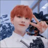 Selected profile picture