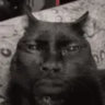 roseisofflinee
