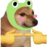 Matched profile picture