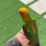 Profile picture