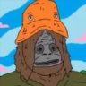 Matched profile picture