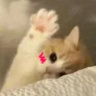 tinykibby