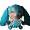 robin_289