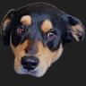 Selected profile picture