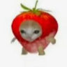 ._yushi_.