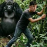 Matched profile picture