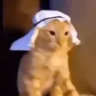 jsuistropuhqfrro