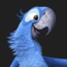 Matched profile picture