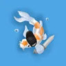 Matched profile picture