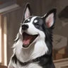 Selected profile picture