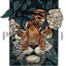 Matched profile picture