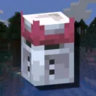 Random's Server