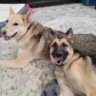 Matched profile picture