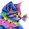 Matched profile picture