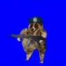 Matched profile picture