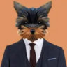 Matched profile picture