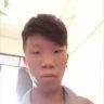fallengd