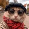 Selected profile picture