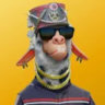 Matched profile picture