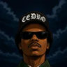 .cedroo
