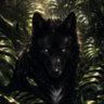 Profile picture for this group