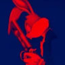 bunnywarrior0