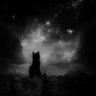5kuz