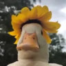 Selected profile picture