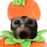 poop fart