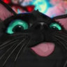 ninicherrypop