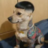 Selected profile picture