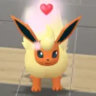 Matched profile picture