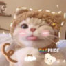 Selected profile picture