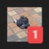 Selected profile picture
