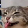 meaeeron