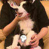 Matched profile picture