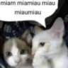 noobymari