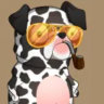 Matched profile picture