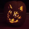 honorablechairmanmeow