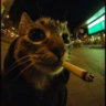 blxr__
