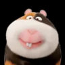 o0hos