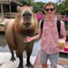 Matched profile picture